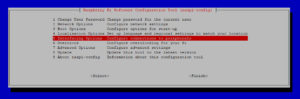 raspi-config_interfacing