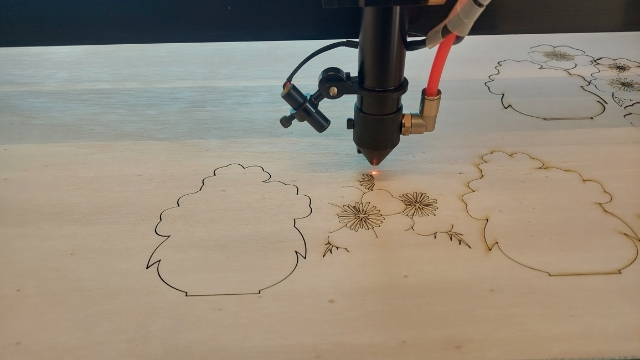 laser cutting- Pokeys
